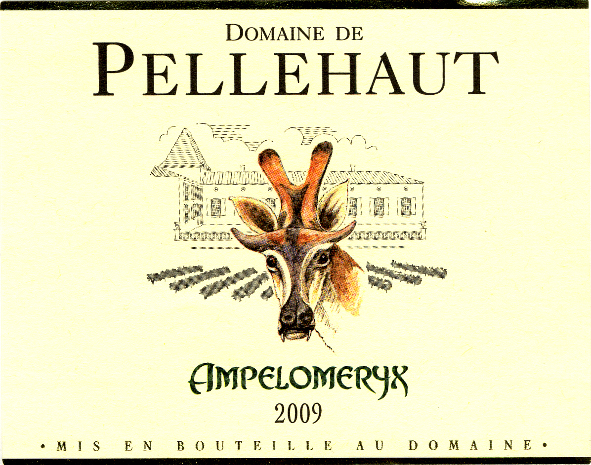 도멘 드 펠로 앙펠오메리스Domaine de Pellehaut Ampelomeryx IGP 코트 드 가스코뉴 Côtes de Gascogne 화이트White 2009