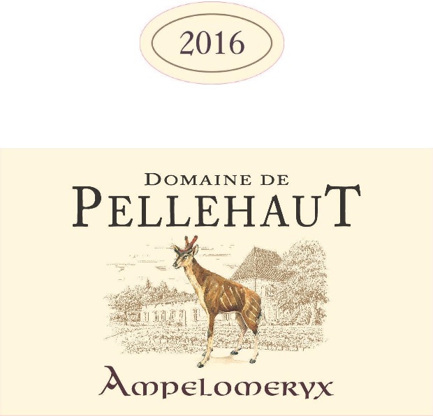 Domaine de Pellehaut Ampelomeryx IGP Côtes de Gascogne Rot 2016
