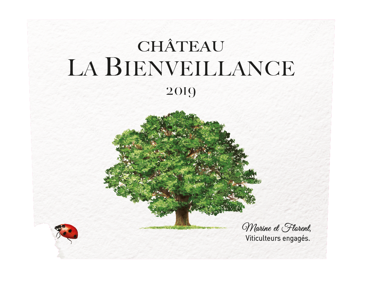 Château La Bienveillance AOC Bordeaux  Blanc 2019