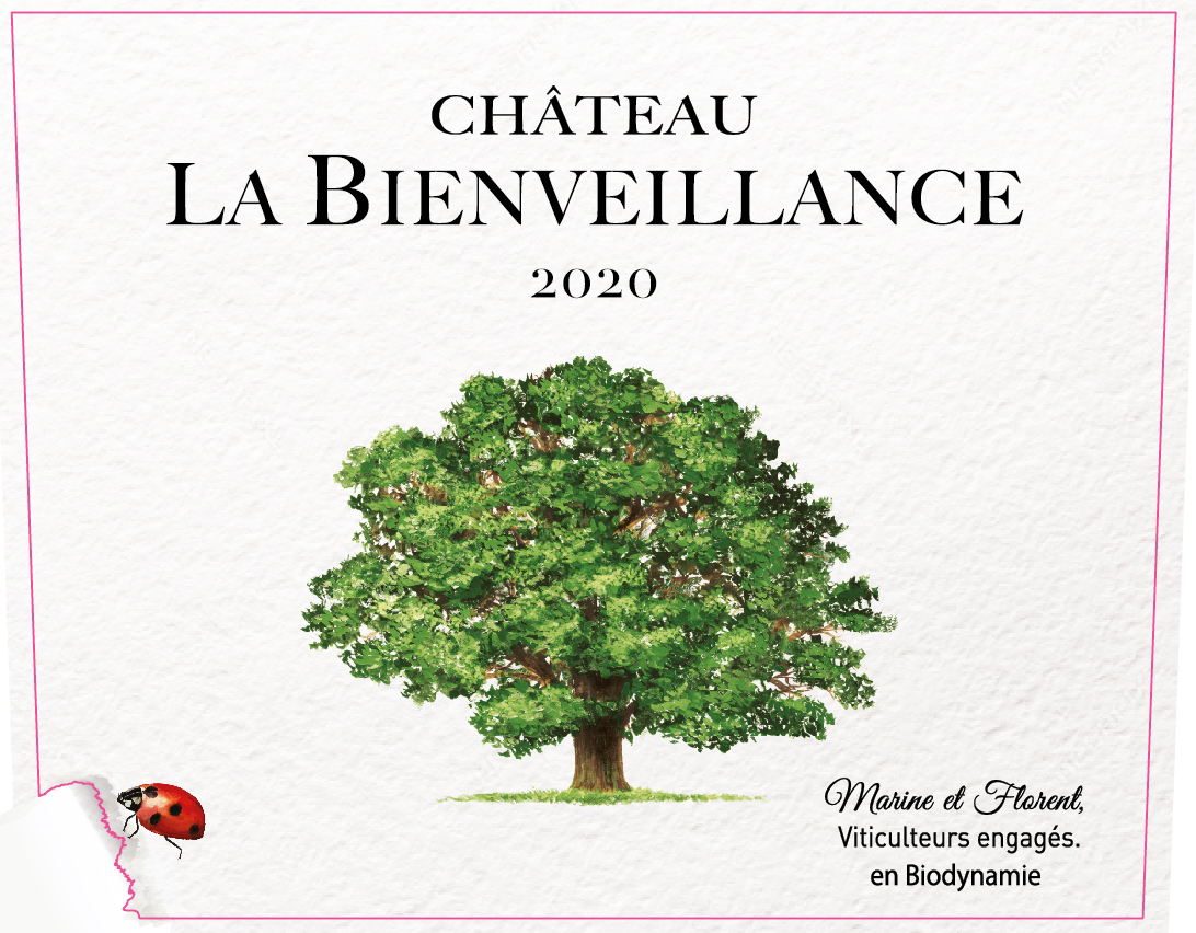 Château La Bienveillance AOC Bordeaux  White 2020