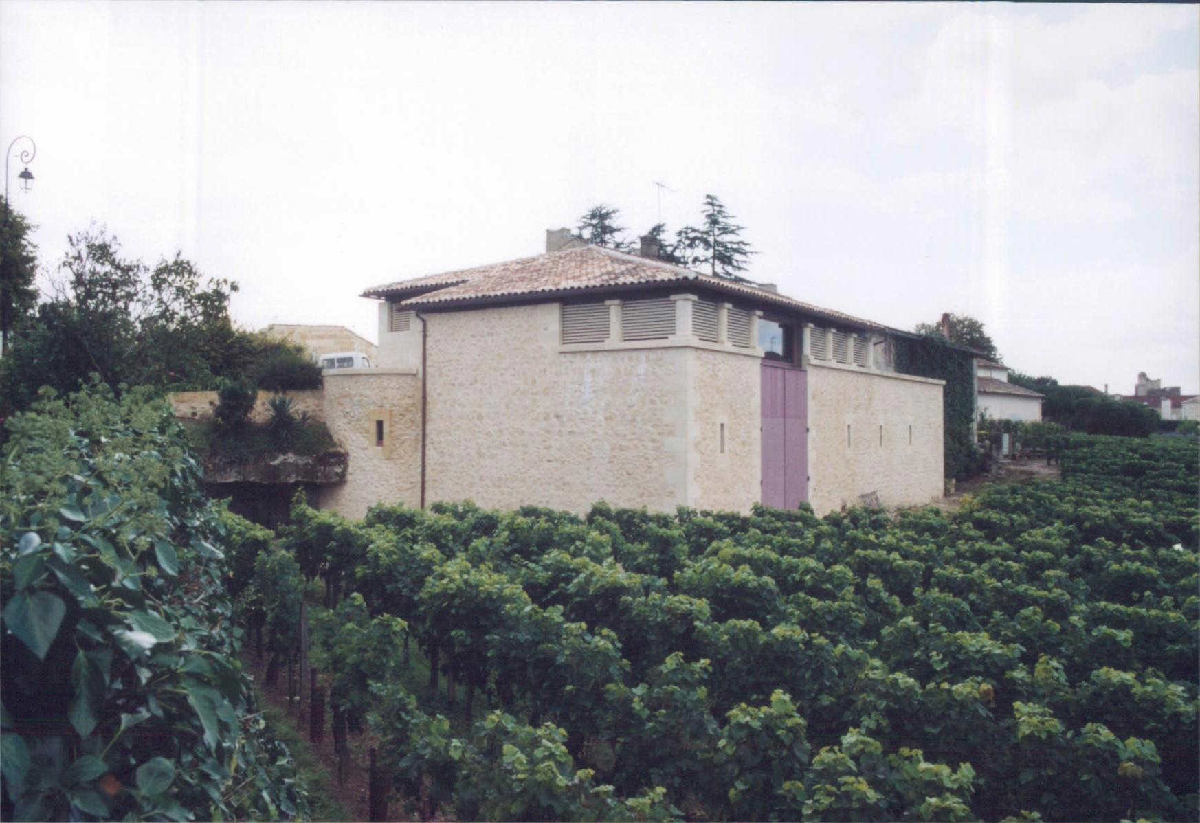 Château Caillou Les Martins（石头马丁酒庄） AOC 吕萨克－圣埃米利永（Lussac Saint-Emilion） 红葡萄酒 2011