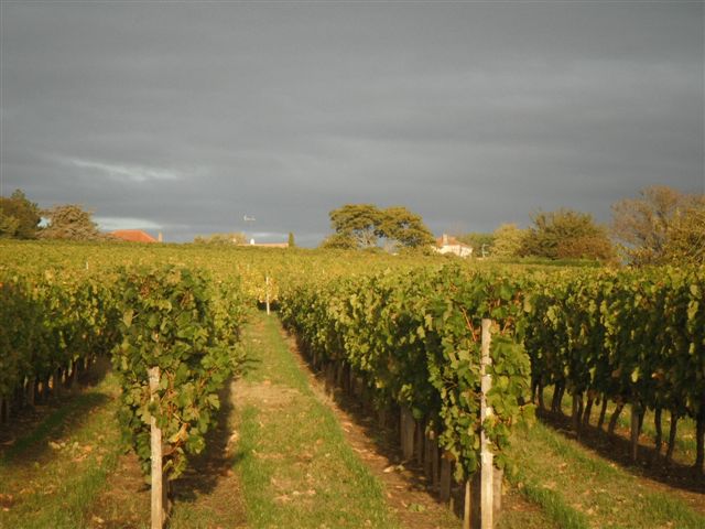 Château Guibonnet - 歌百利酒庄 AOC 布尔丘产区干红 (Côtes de Bourg) Red 2011