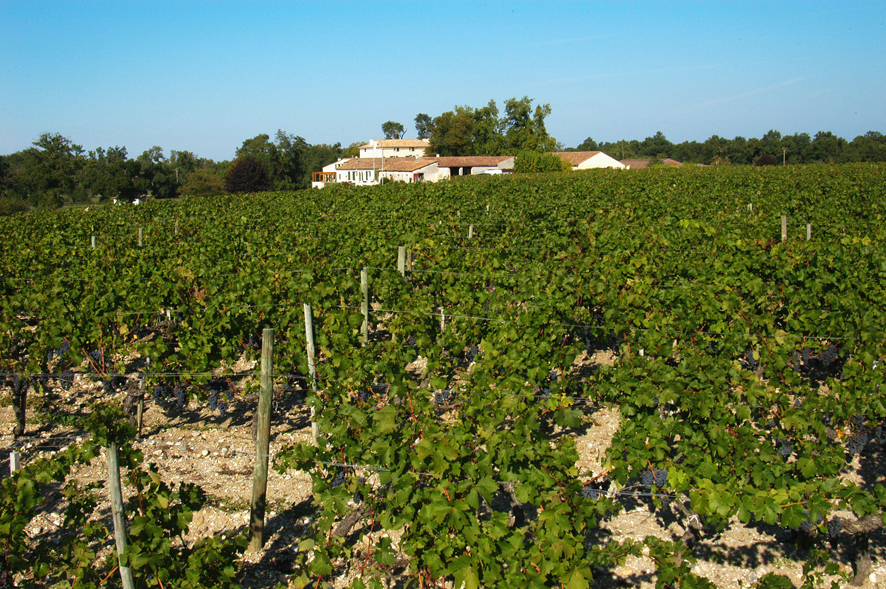 Château Angludet（昂格吕黛酒庄） AOC 玛尔戈（Margaux） 红葡萄酒 2012