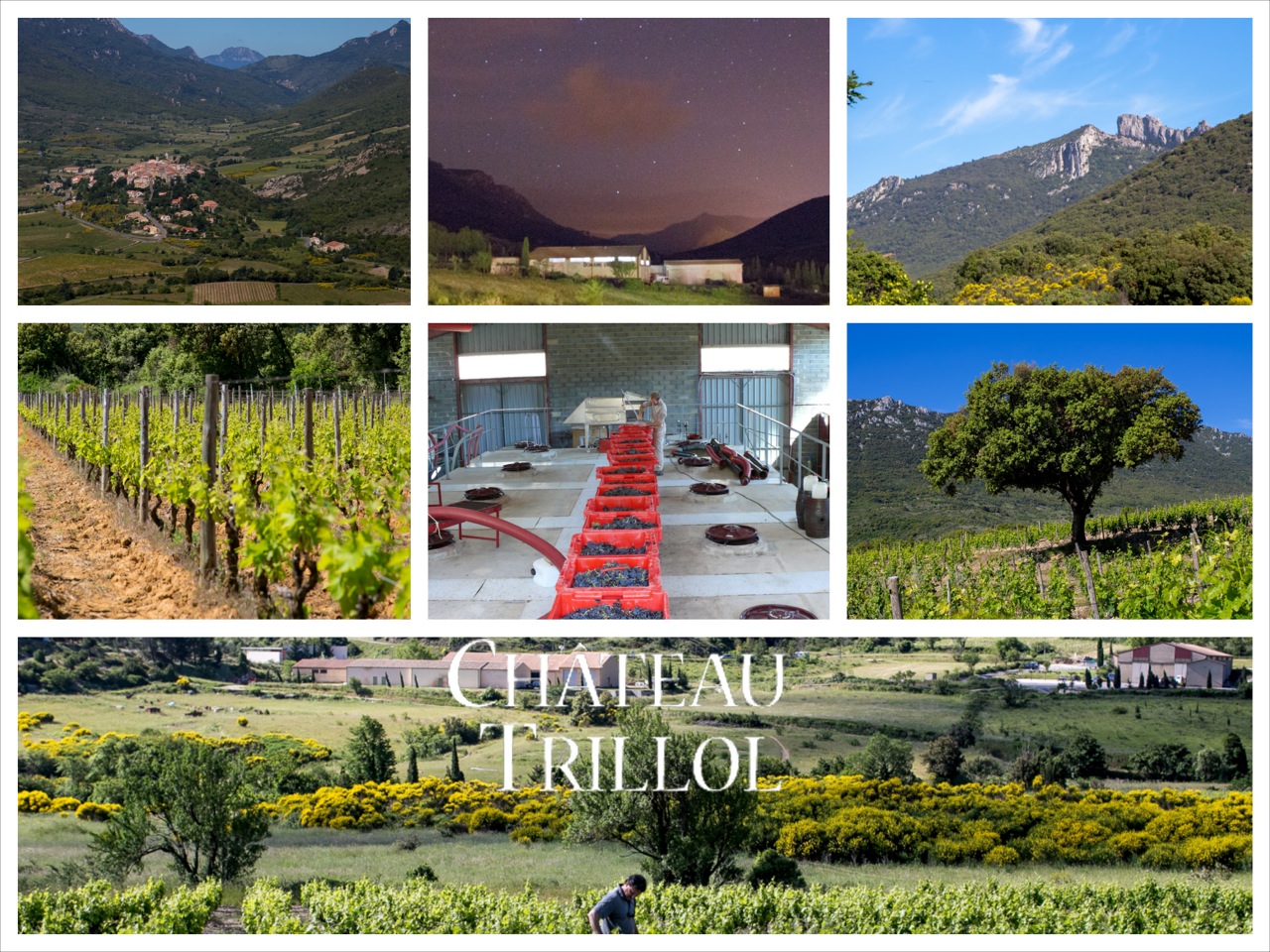 Chateau Trillol（特瑞罗酒庄） AOC 科比埃（Corbieres） 红葡萄酒- red 2012