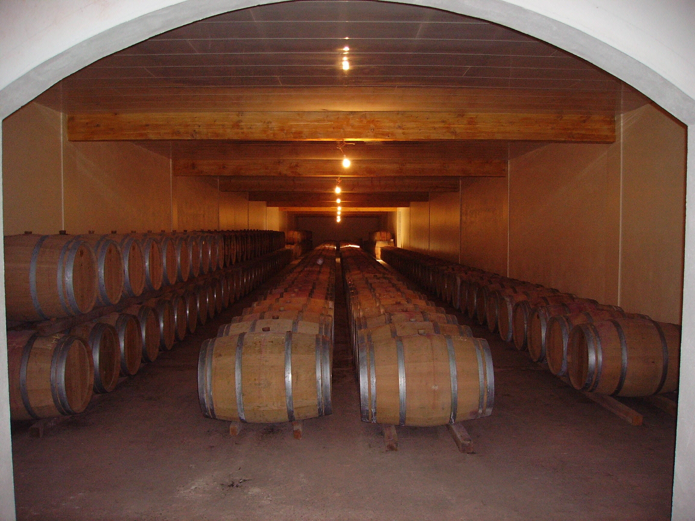 Château L'Argenteyre（雅婷酒庄） AOC 梅多克（Médoc） 红葡萄酒 2012