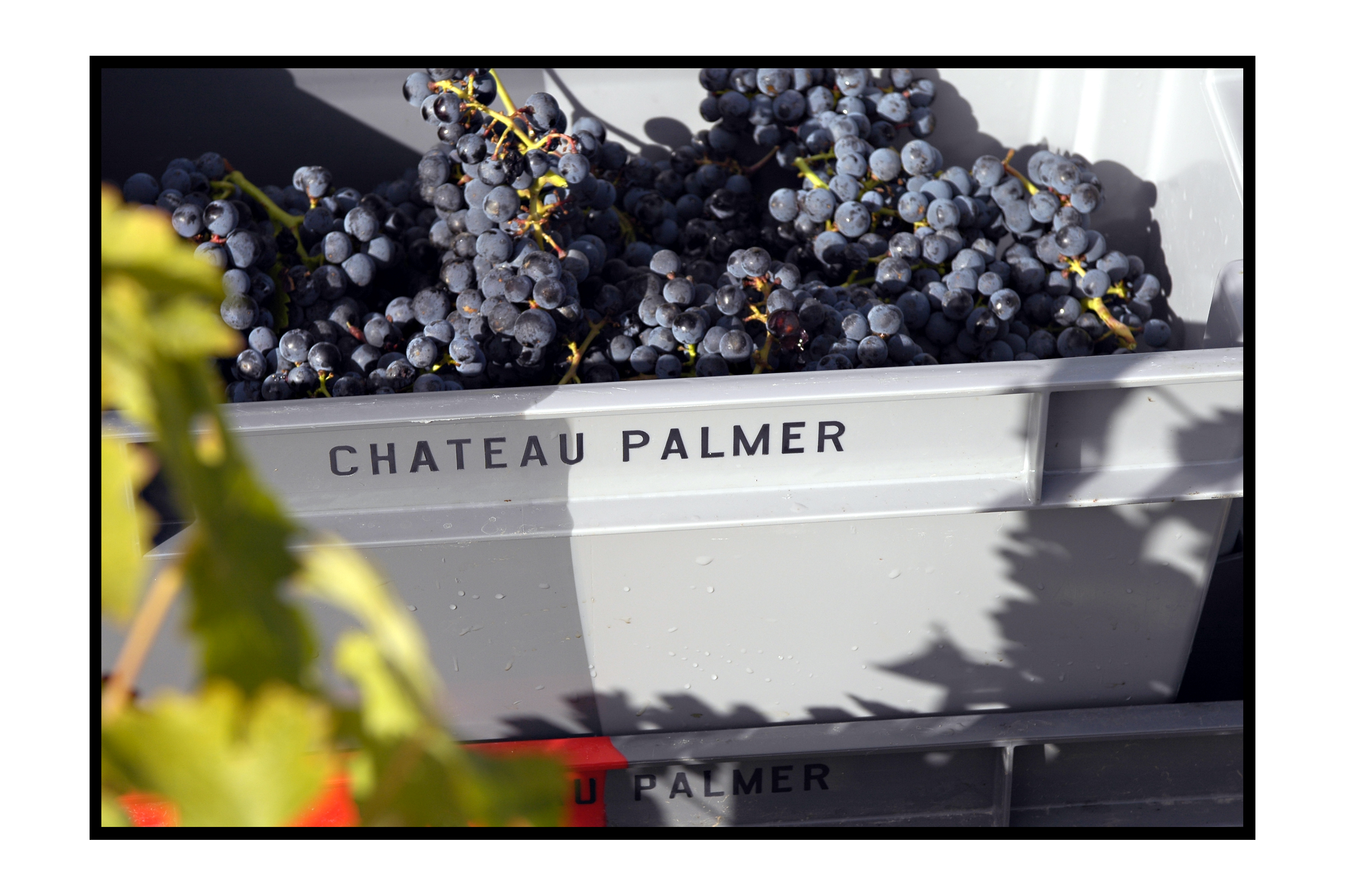 Château Palmer AOC Margaux Rouge 2014