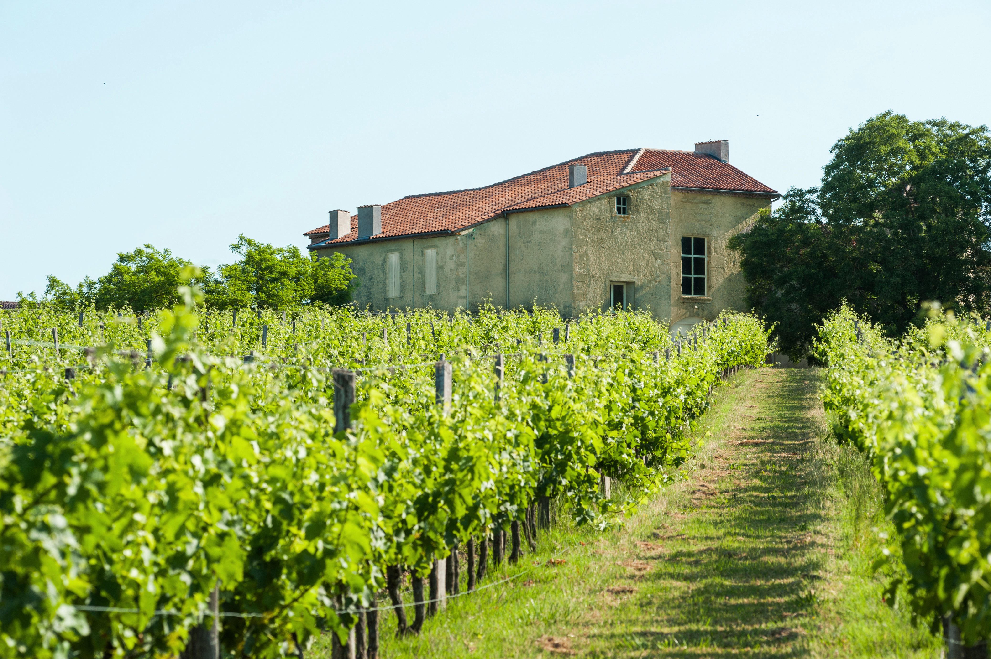 Chateau Argadens（阿戈登斯酒庄） AOC 波尔多（Bordeaux） 白葡萄酒 - white 2016