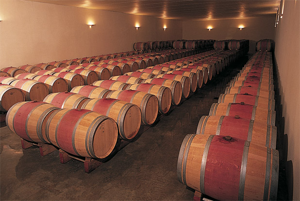 Château Cambon la Pelouse（坎波拉佩罗斯堡酒庄） AOC 上梅多克（Haut-Médoc） 红葡萄酒 2011