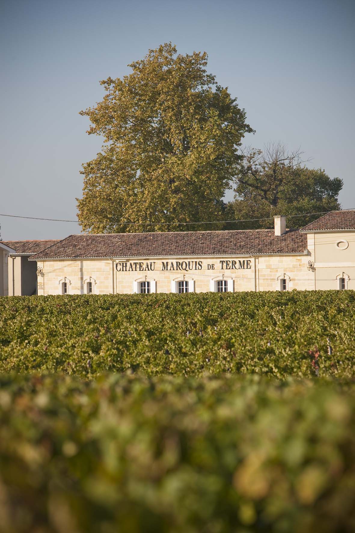 Château Marquis de Terme AOC Margaux Rouge 2014