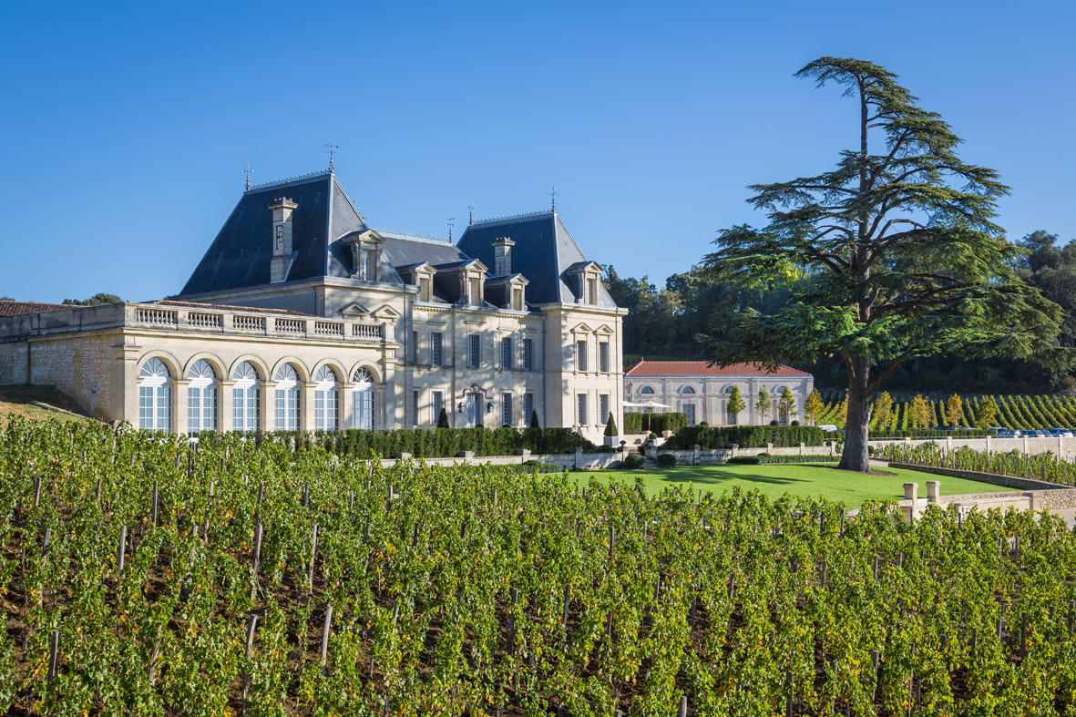 Château Fonplégade AOC Saint-Emilion Grand Cru Red 2015