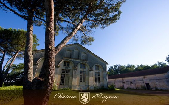Château Orignac (d') - "Grand Cru" VSOP  Cognac Fins Bois  SM