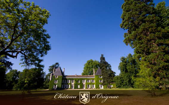 Château Orignac (d') - "Grand Cru" VSOP  Cognac Fins Bois  SM