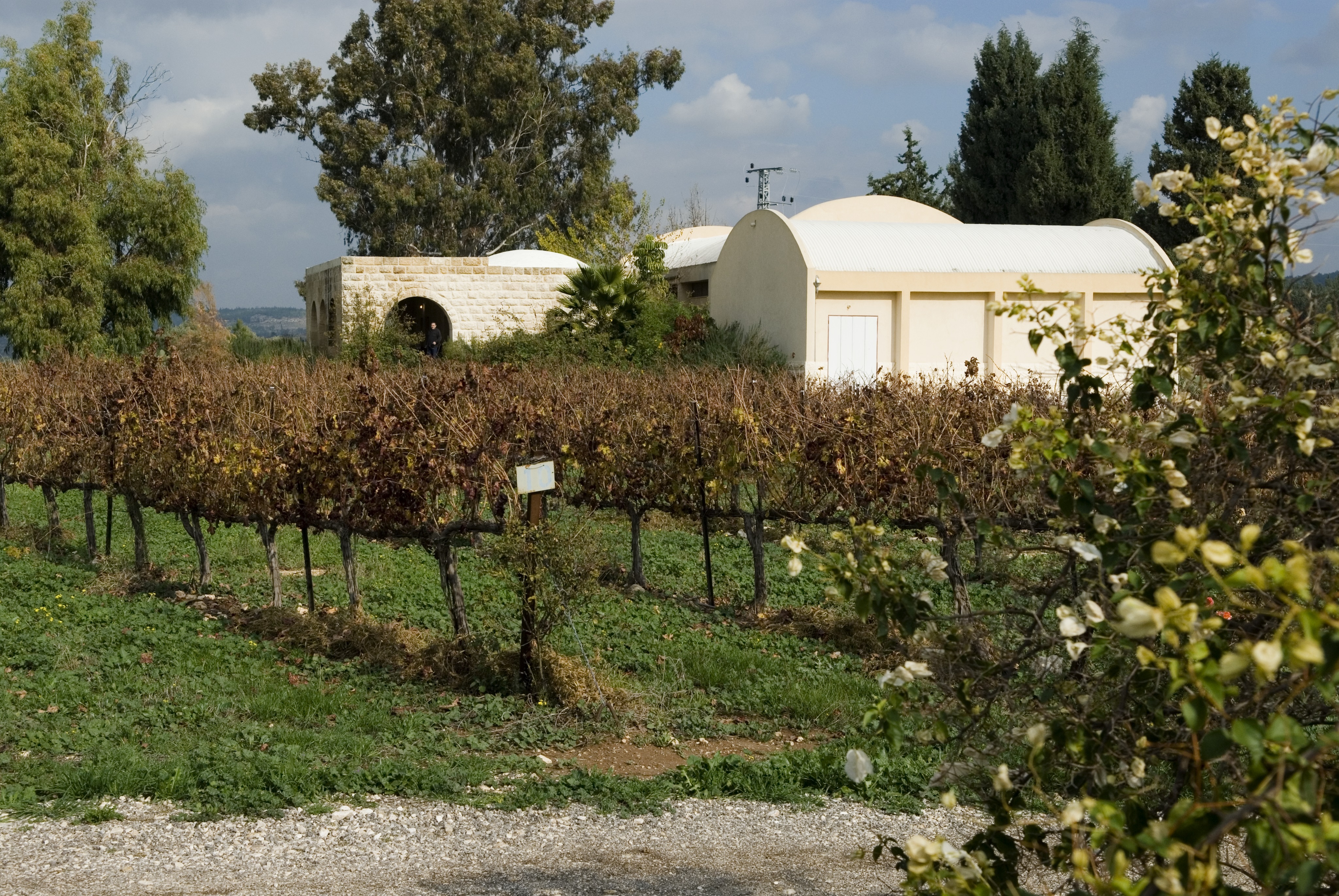 Clos de Gat - Har'el - Cabernet Sauvignon  Wine from Israël Red 2013