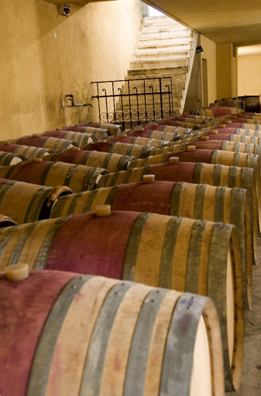Clos de Gat - Har'el - Cabernet Sauvignon  Wine from Israël Red 2013