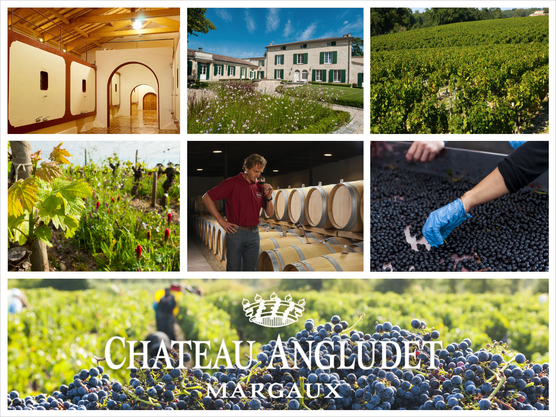 Château Angludet シャトー・アングリュデ AOC マルゴー 赤ワイン Red 2016