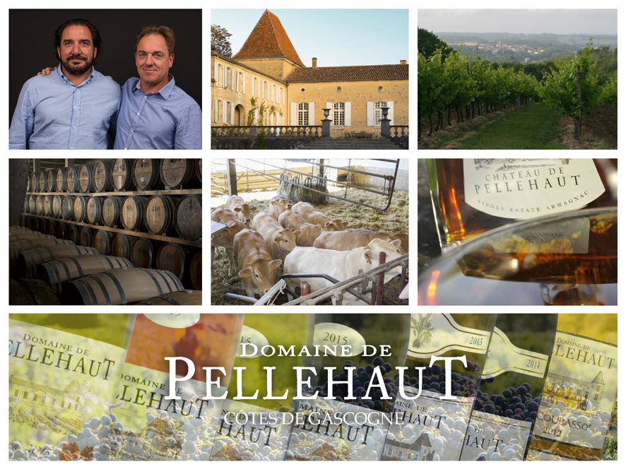 Domaine de Pellehaut Chardonnay IGP Côtes de Gascogne Blanc 2018