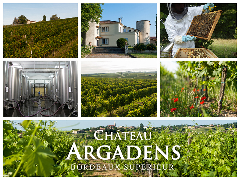 Château Argadens AOC Bordeaux Supérieur Rot 2017