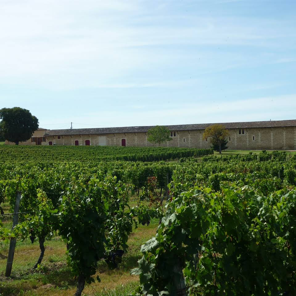 Château Fleur Saint Andre AOC Bordeaux Rouge 2015