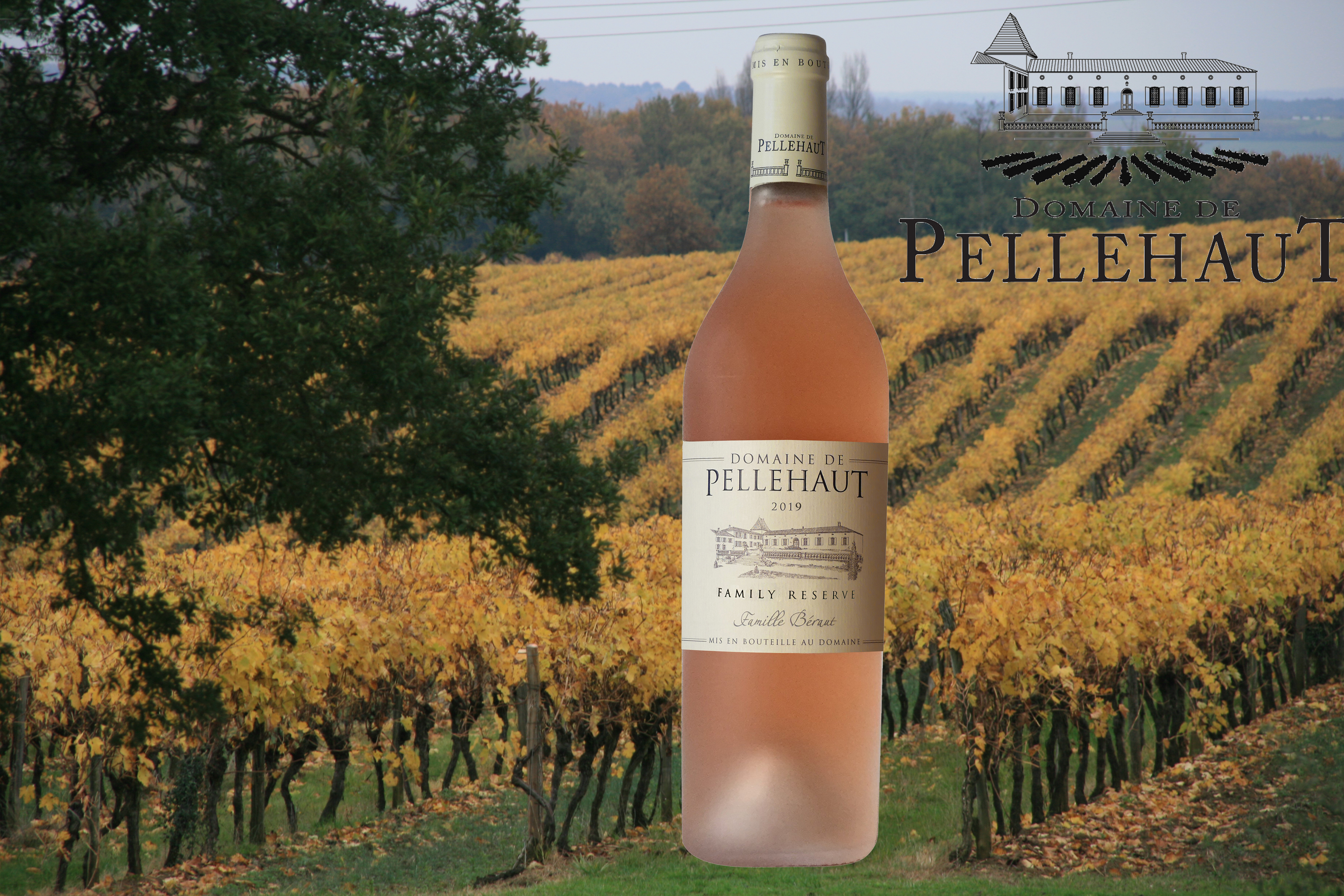 Domaine de Pellehaut Family Réserve Rosé IGP Côtes de Gascogne Rosé 2019