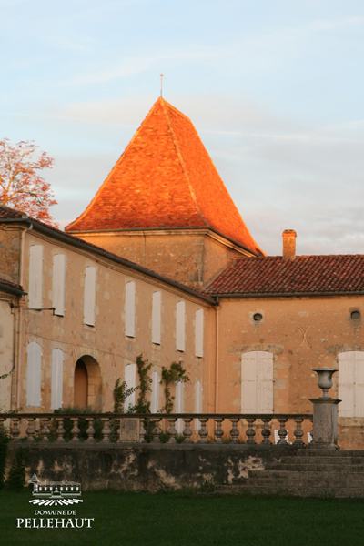 Domaine de Pellehaut Chardonnay IGP Côtes de Gascogne White 2020