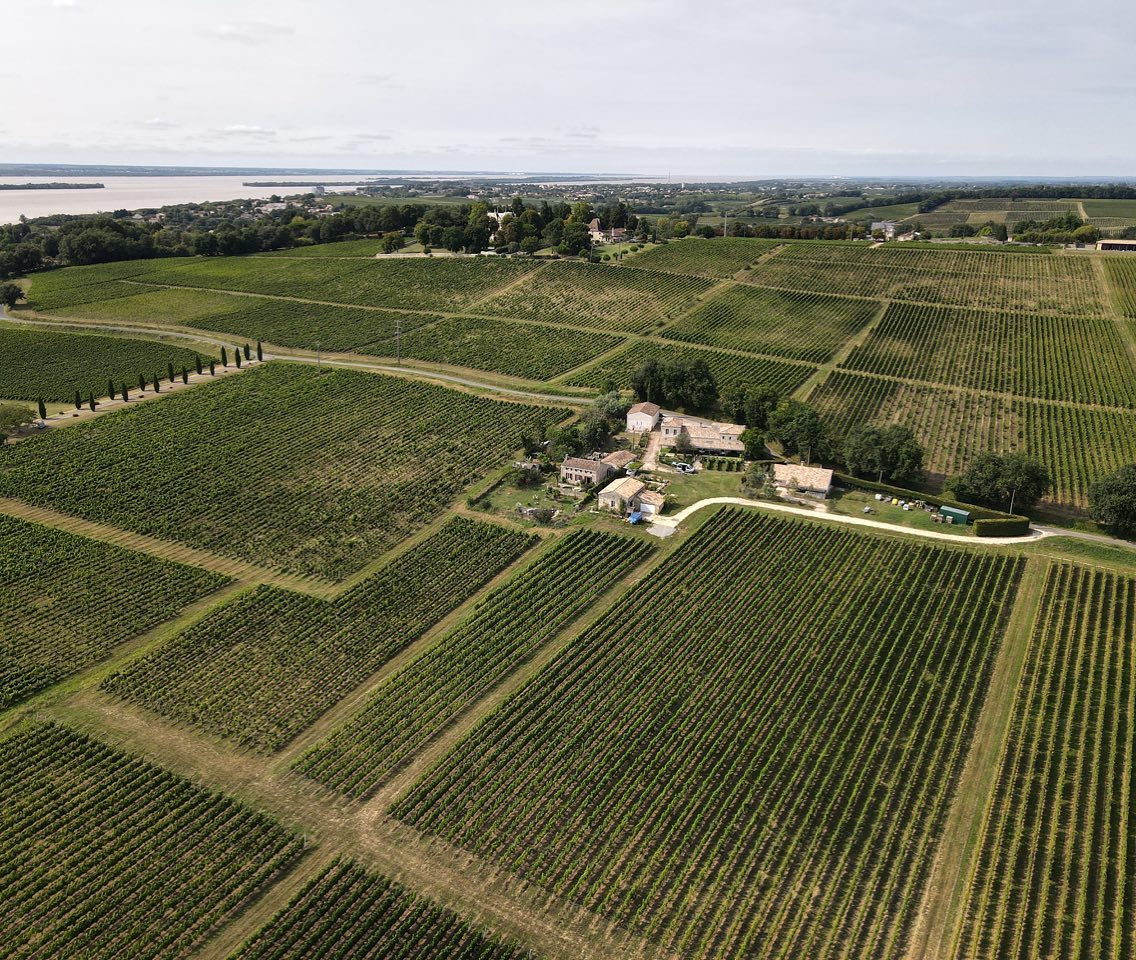 Château Maine Gazin AOC Blaye - Côtes de Bordeaux Rouge 2020