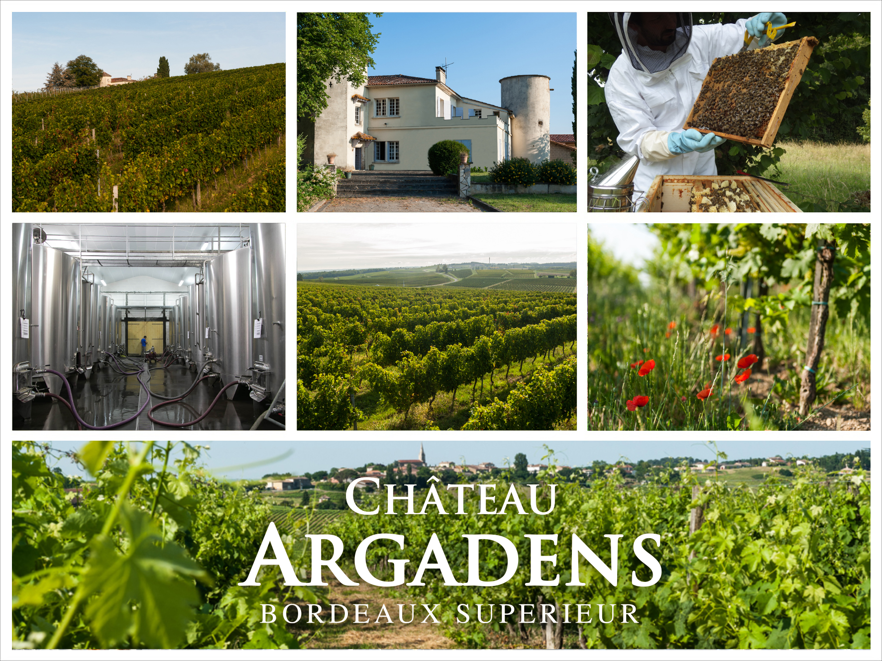 Château Argadens AOC Bordeaux Supérieur Rot 2019