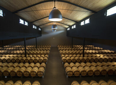 Château Palmer cellars