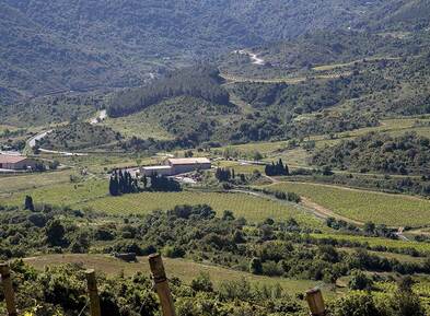 Château Trillol surroundings
