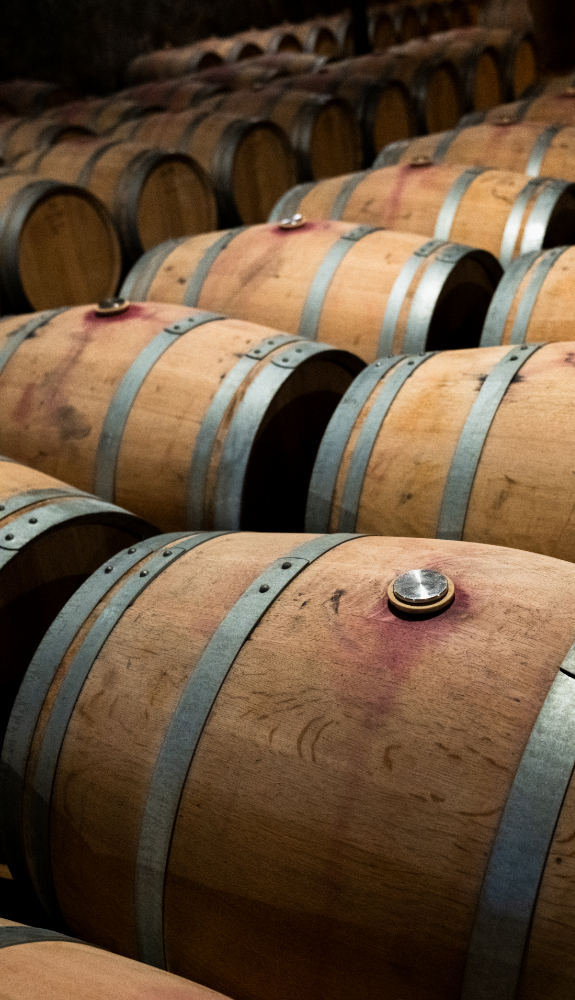 Chai du Château Angludet Barriques de vin dans le chai du Château Angludet