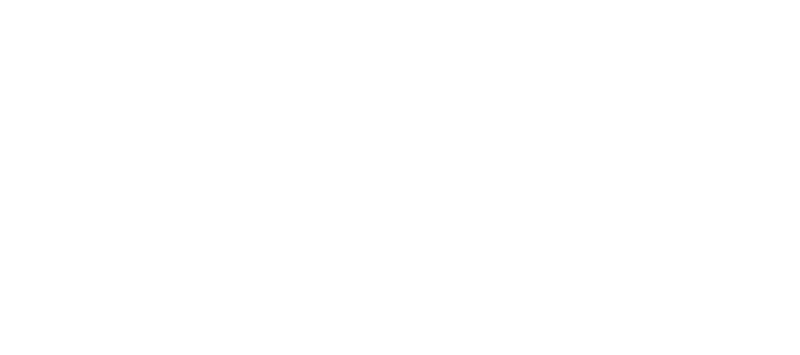 Château Palmer – logo Logo du Château Palmer