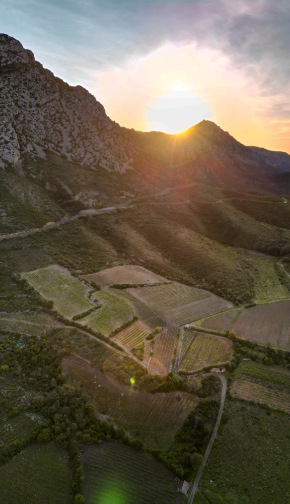 Domaine Peter Sichel – vallée de Cucugnan Vue aérienne de la vallée de Cucugnan au coucher du soleil, terroir du Domaine Peter Sichel