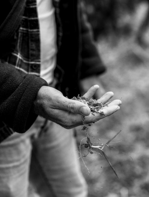 latelier_siche_lexperience_pour_votre_vin Main tenant de la terre et des racines, l'expérience de L'atelier Sichel pour votre vin