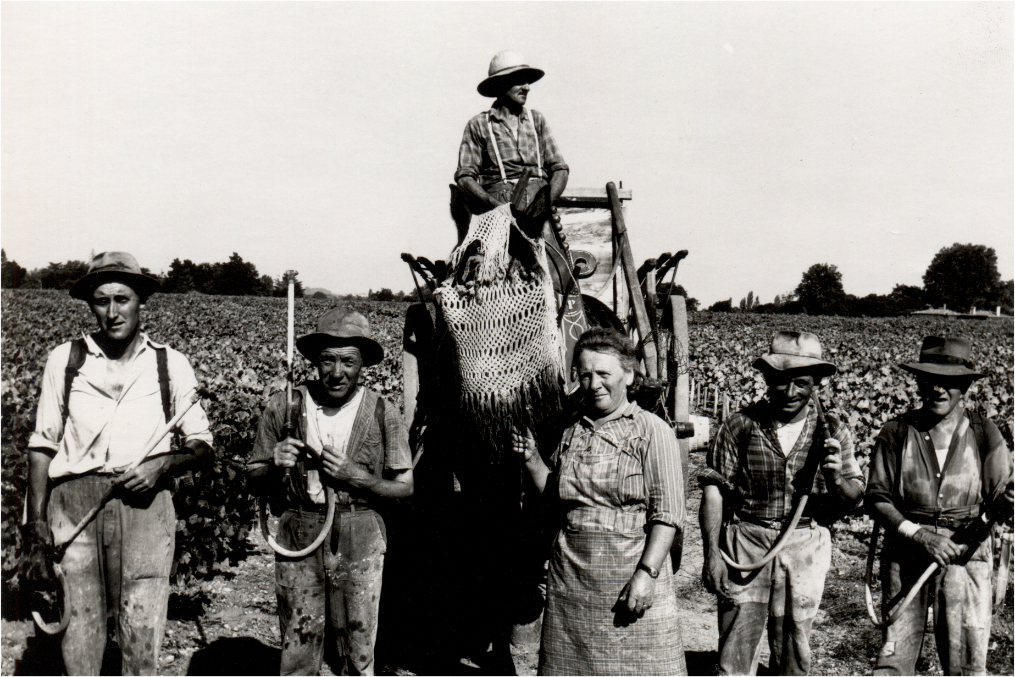 printemps_1966_chateau_palmer Photographie d'archive de 1966 des vignerons du Château Palmer au printemps